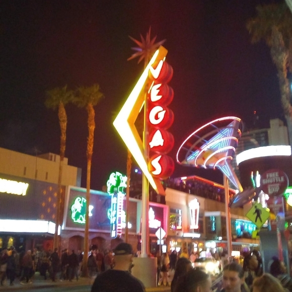 Meet your Posher, Terri - Picture 12 of 16